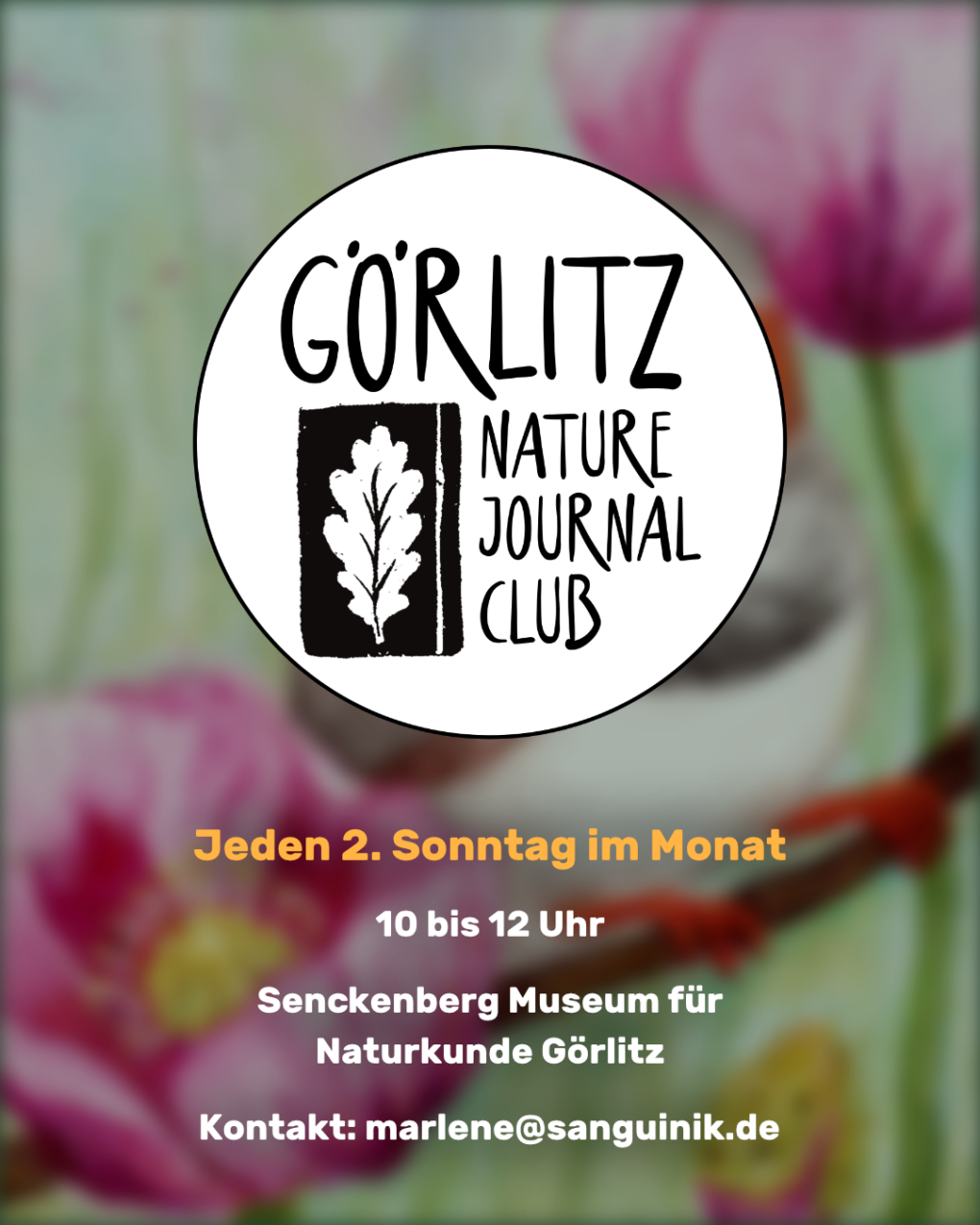 Nature Journal Club Görlitz, Treffen jeden 2. Sonntag im Monat, 10 bis 12 Uhr in Görlitz am Naturkundemuseum